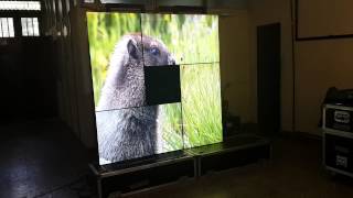 VIDEOWALL MAGICINFO